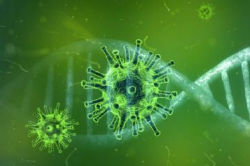 immagine che rappresenta un virus e il DNA