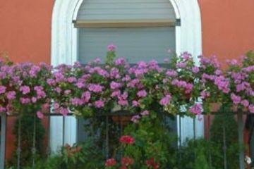 Centro Abitato - Balcone Fiorito