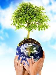 immagine rappresentativa dell'ambiente